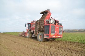 Samojízdný vyorávací stroj Terra Dos T4 při sklizni cukrové řepy