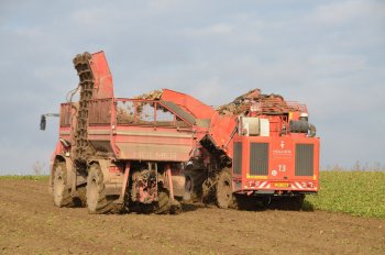 Obr. 14: Překládání řepy za jízdy do vedle jedoucího stroje Terra Variant