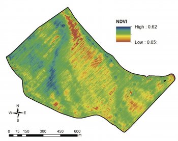 Obr. 5: Porovnání mapy produkčních zón s procentuálním rozložením potenciálního výnosu stanoveného z družicových dat LANDSAT za 8 leté období (nahoře) a hodnocením stavu porostu ječmene ozimého pomocí bezpilotního průzkumu dronem Sensefly eBee v období května 2016 (dole). Pozemek vykazuje prostorové členění (produkční zóny) identifikovatelné na obou mapách. Nesoulad mezi přesným vymezením zón ukazuje na rozdíly daného ročníku a potvrzuje nezbytnost senzorového měření v průběhu vegetačního období.