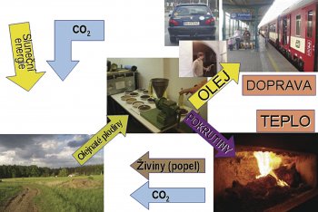 Obr. 1: Koloběh CO 2 a živin biopaliv: Ze zemědělských plodin se vyrobí biopaliva pro pohon zemědělských strojů a motorových vozidel, zbylá biomasa může být využita jako krmivo nebo pro výrobu tepla. Zbytky, například popel, se vrací na pole. CO2 , který rostliny absorbovaly při fotosyntéze a přeměnily na uhlovodíky, se jejich spálením vrací do atmosféry, nejedná se tak o emise skleníkových plynů jako u fosilních paliv, ale o součást přírodního koloběhu uhlíku.